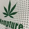 HEMPTURE ‘Green Sunshine” CBD BLOTTERS – FULL SHEET
